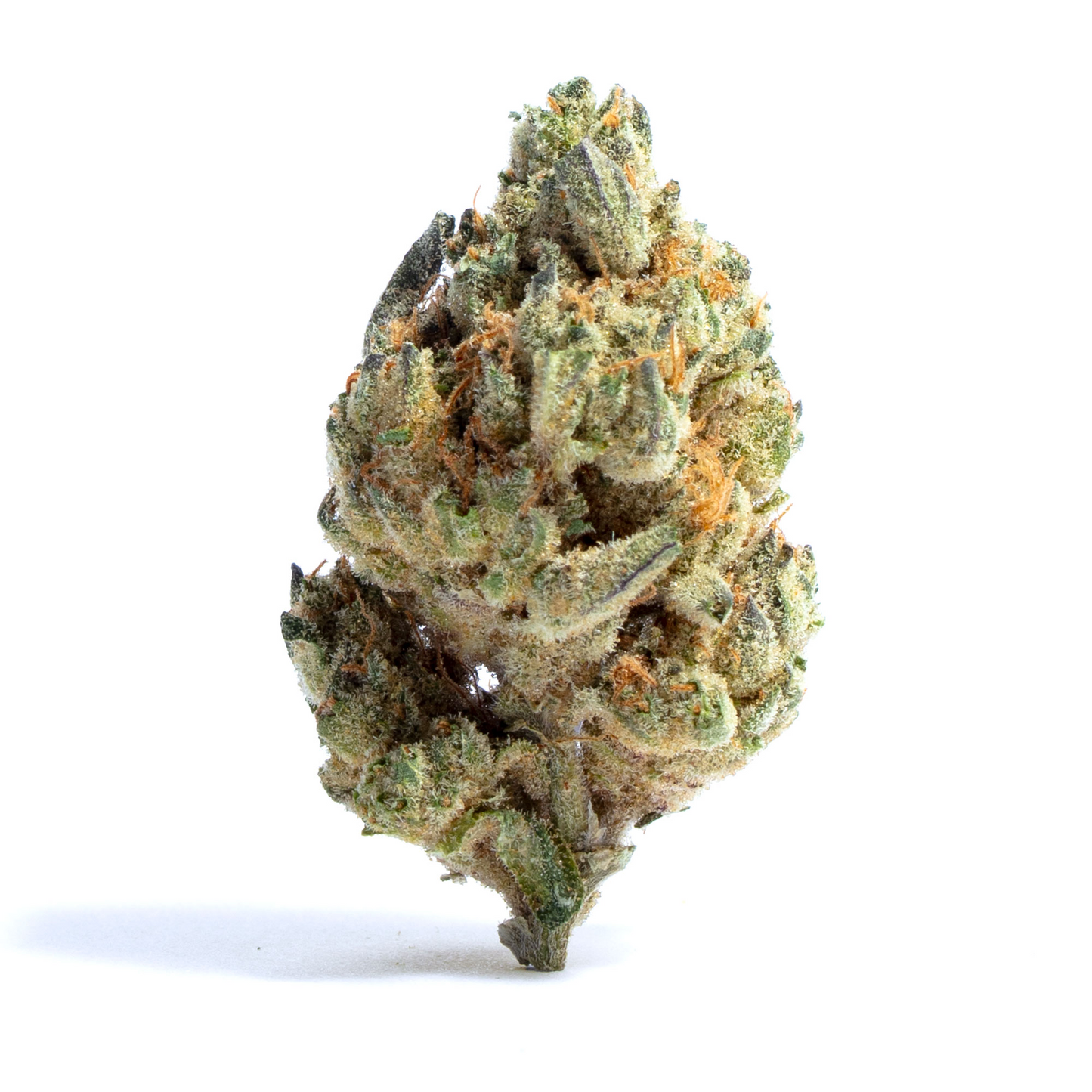 blueberry punch-hybrid-weed-flower-cannabis-strain