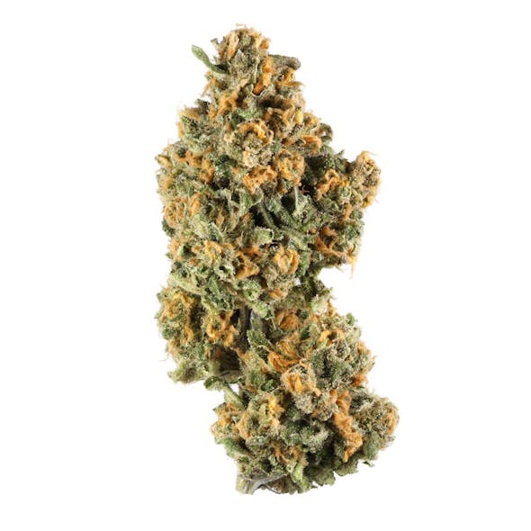 Gelato Punch THCA Flower - Hybrid - 1g to 1 pound - AA - The Green Leaf Cannabis