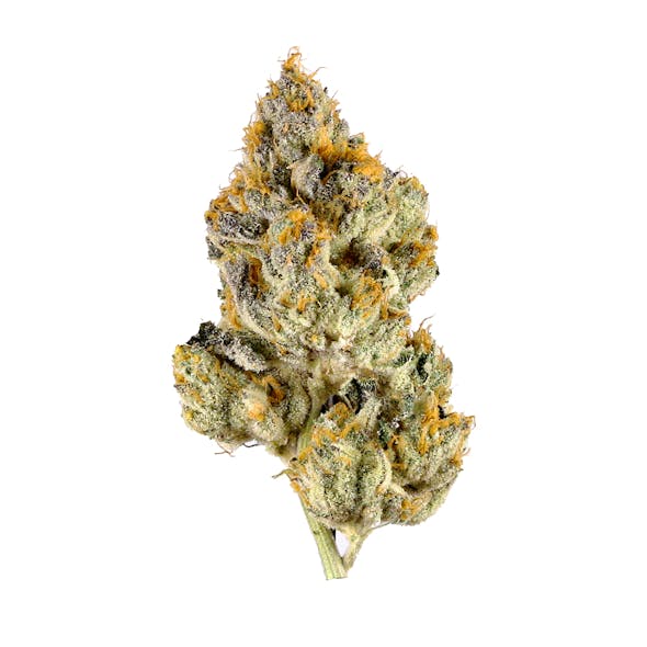 Jet Fuel THCA Flower - Sativa - 1g to 1 pound - AAA - The Green Leaf Cannabis