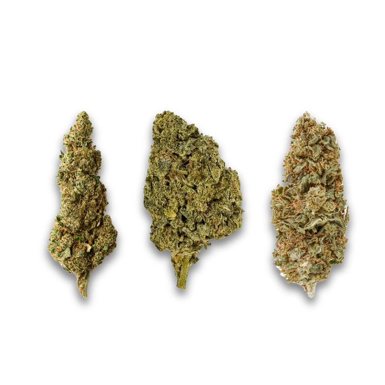 Sativa Flower