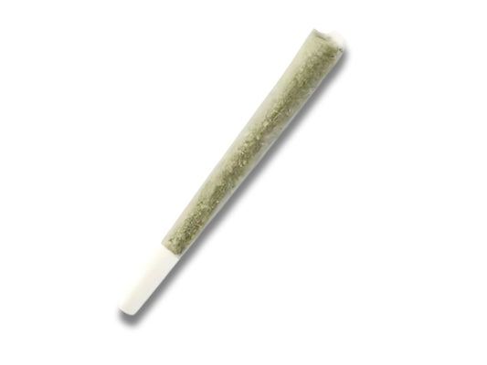 LCG Strain Hand-Rolled Joint - Hybrid