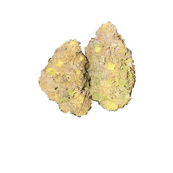 Jokerz - Hybrid - 1 pound (450 grams) - Oregon Farms