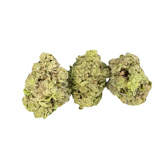 Wedding Cake - Hybrid - 1 pound (450 grams) - Oregon Farms