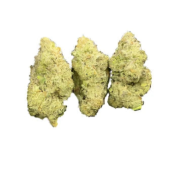 Gorilla Glue - Hybrid - 1 pound (450 grams) - Oregon Farms