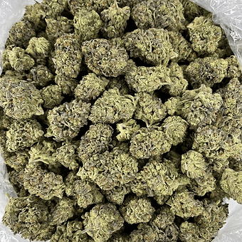 London Truffle - Hybrid - 1 pound (450 grams) - Oregon Farms