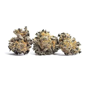 Gushmintz Flower - Sativa - 1 Pound Bulk - W