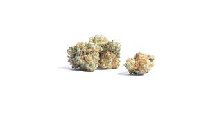 Blue Scream Flower - Sativa - 3.5 lb to 1 oz - A - The Green Leaf Cannabis
