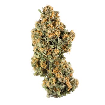 Gelato Punch Flower - Hybrid - 1 Pound Bulk - W